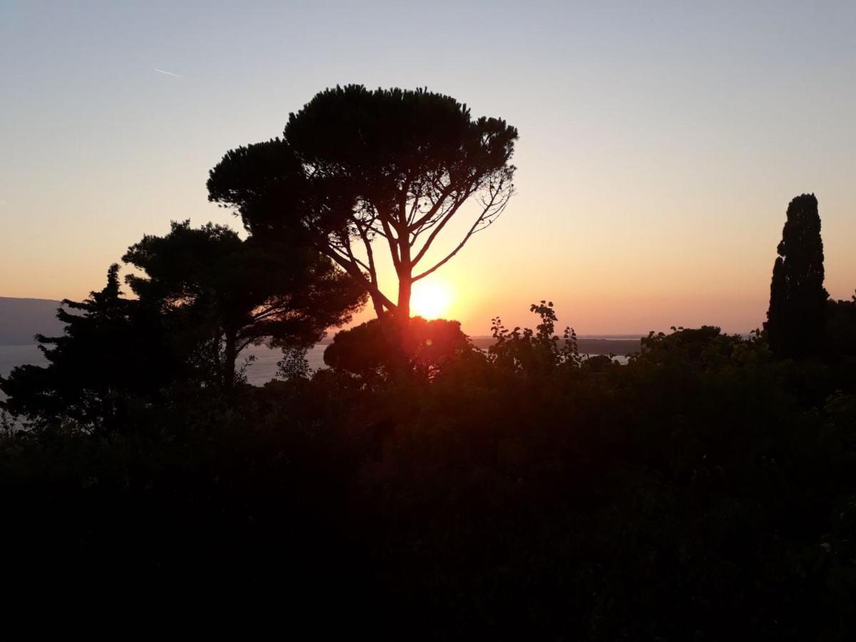 Studio Naturiste Venus Panoramic View Agde Kültér fotó